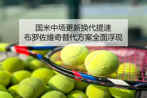国米中场更新换代提速 布罗佐维奇替代方案全面浮现
