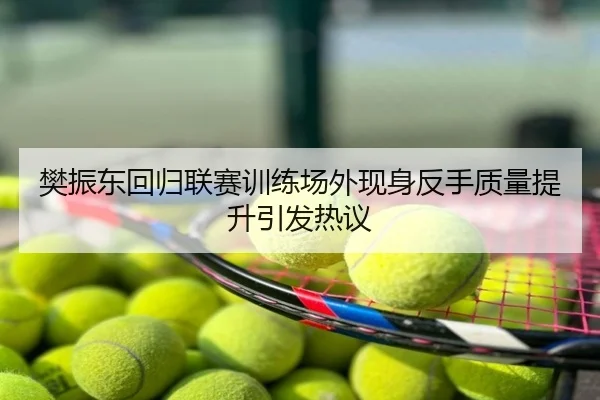 樊振东回归联赛训练场外现身反手质量提升引发热议