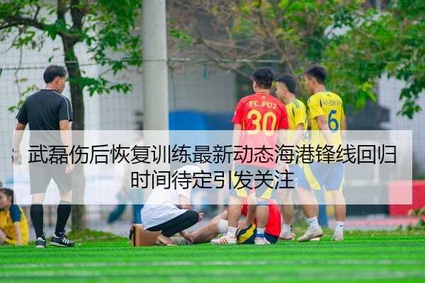 武磊伤后恢复训练最新动态海港锋线回归时间待定引发关注