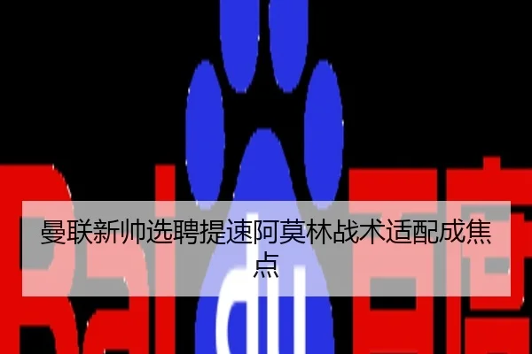 曼联新帅选聘提速阿莫林战术适配成焦点